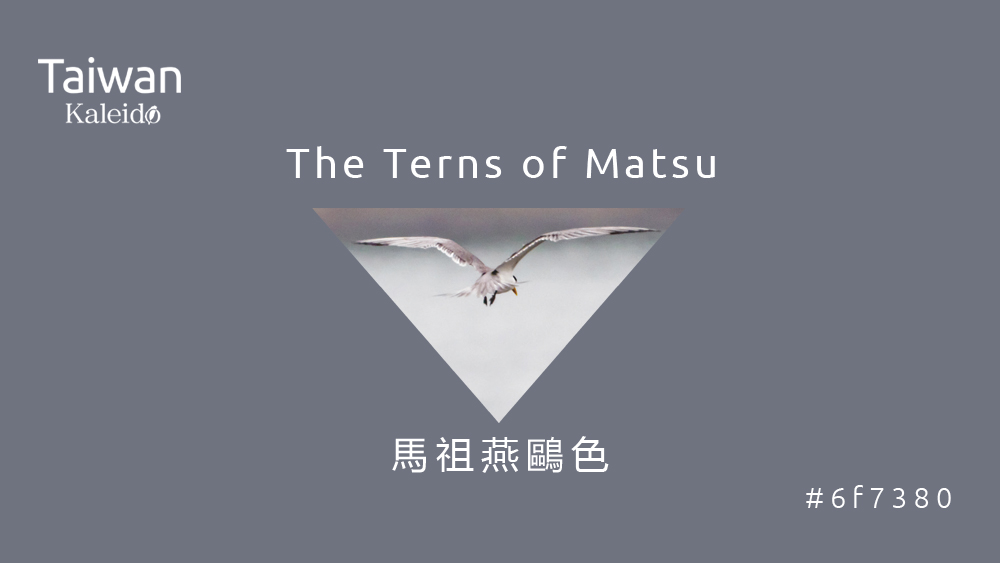 本週精選：馬祖燕鷗色 The Terns of Matsu #6f7380 